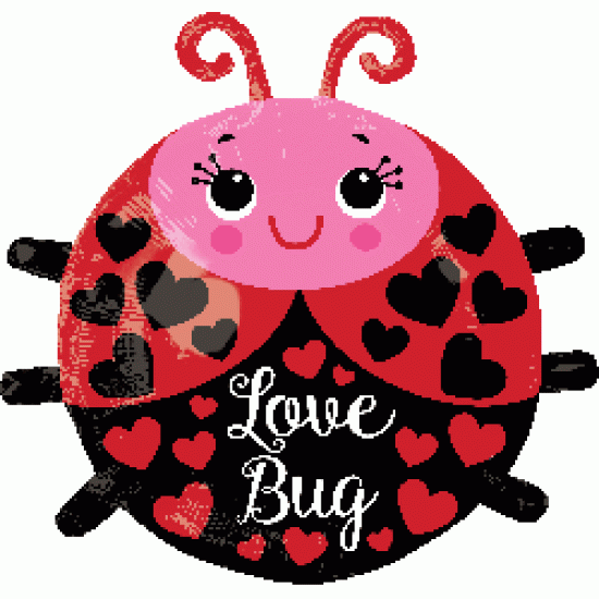 34164	19" Cutie Love Bug